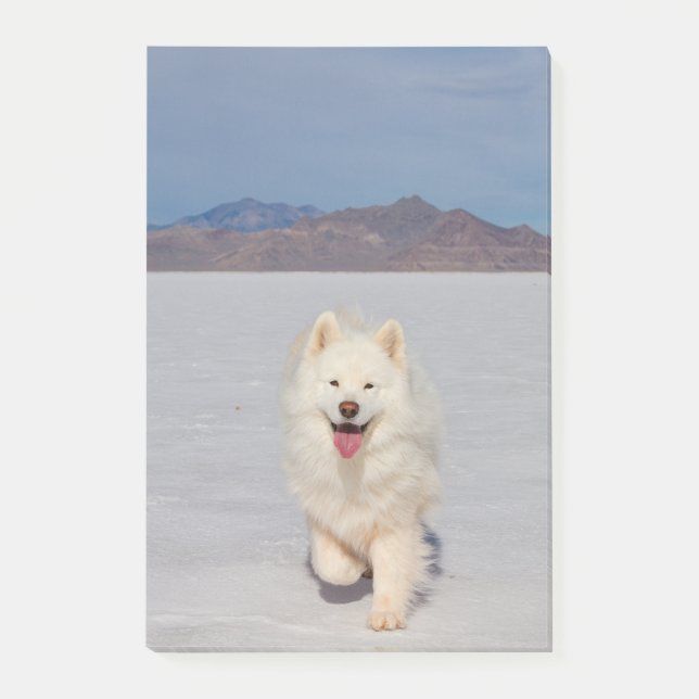 4"x6" Post-it Notes - Salt Flats (Front)