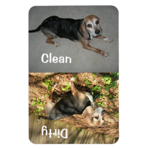 4" x 6" Clean/Dirty Beagle Photo Dishwasher Magnet