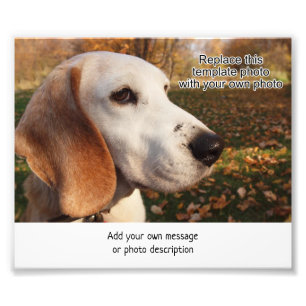 4 x 6 photo imprimer par zone pour ajouter la desc