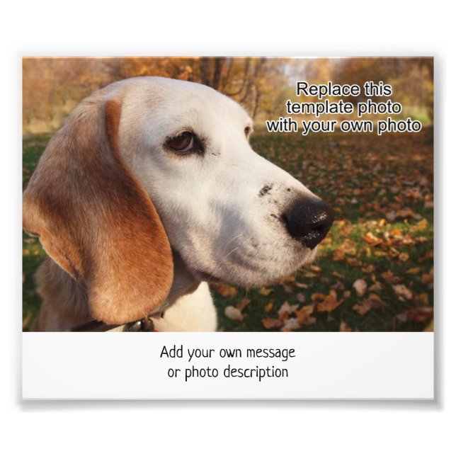 4 x 6 photo imprimer par zone pour ajouter la desc (Devant)