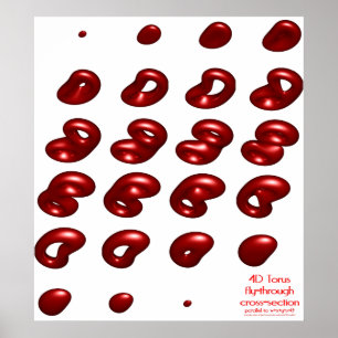 4d torus fly-through cross-section poster