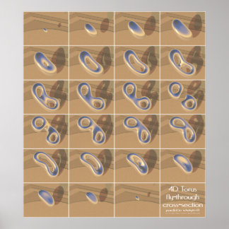 4D torus fly-through cross-section Poster