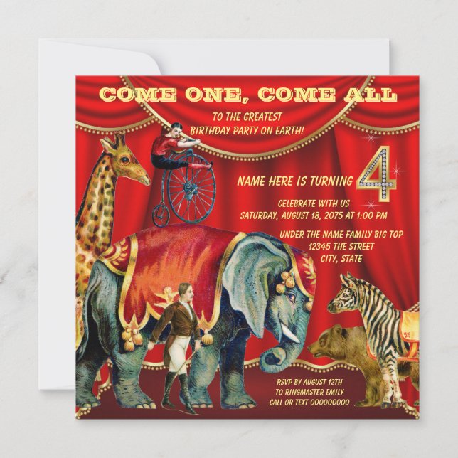4th Birthday Party Invitation (Front)
