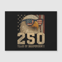 4th July American Flag Eagle Vintage 250 Years 177