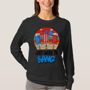 4th July I'm Just Here To Bang Fireworks Independe T-Shirt