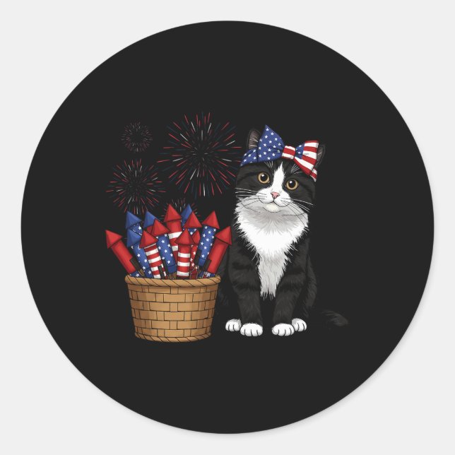 4th Of July Cat And Fireworks Design For Men Women Classic Round Sticker (Front)