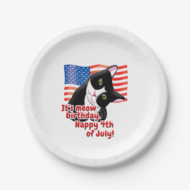 4th of July Cat Paper Plate (Front)