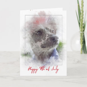 4th of July-Chinese Crested Hairless dog Card