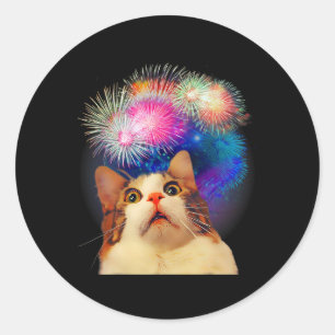 4th Of July Fireworks Enthraled Cat  Classic Round Sticker