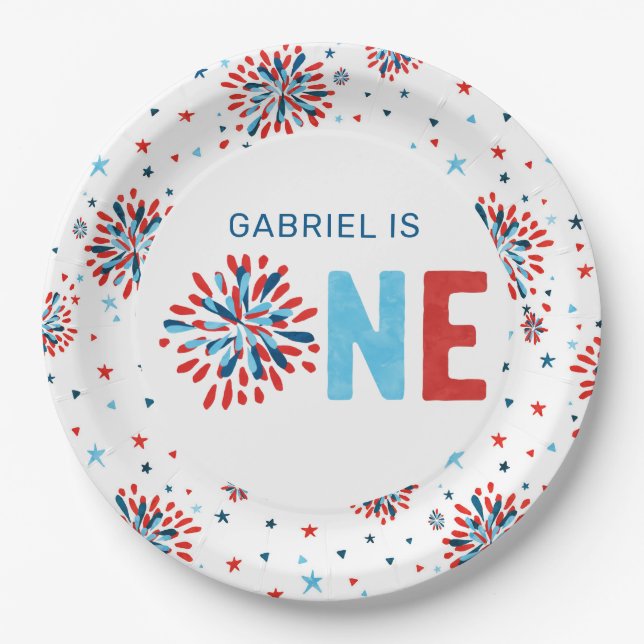 4th of July First Birthday  Paper Plate (Front)