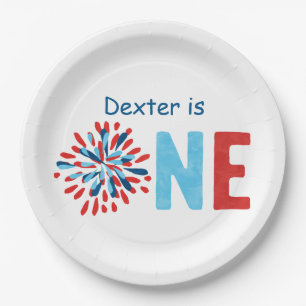 4th of July First Birthday Paper Plate