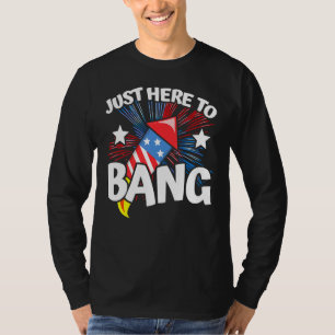 4th Of July Meme Fireworks Just Here To Bang T-Shirt