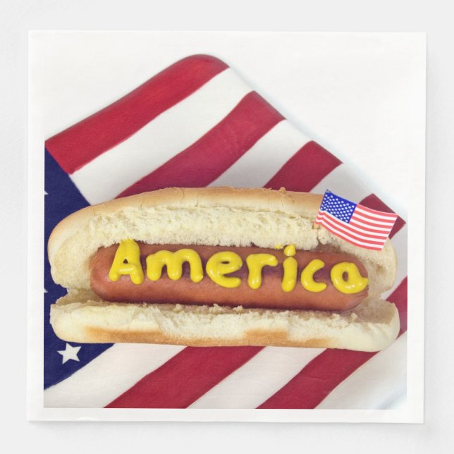 4th of July party hot dog Napkin (Front)