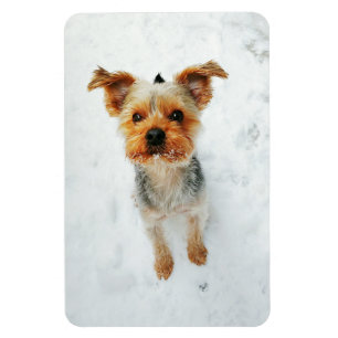 4x6 Flat Magnet