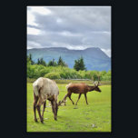 4x6 Photo Paper (Satin) of elk Print<br><div class="desc">4x6 Photo Paper (Satin) of elk  Created by bearsandmore</div>