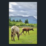 4x6 Photo Paper (Satin) of elk Print<br><div class="desc">4x6 Photo Paper (Satin) of elk Created by bearsandmore</div>
