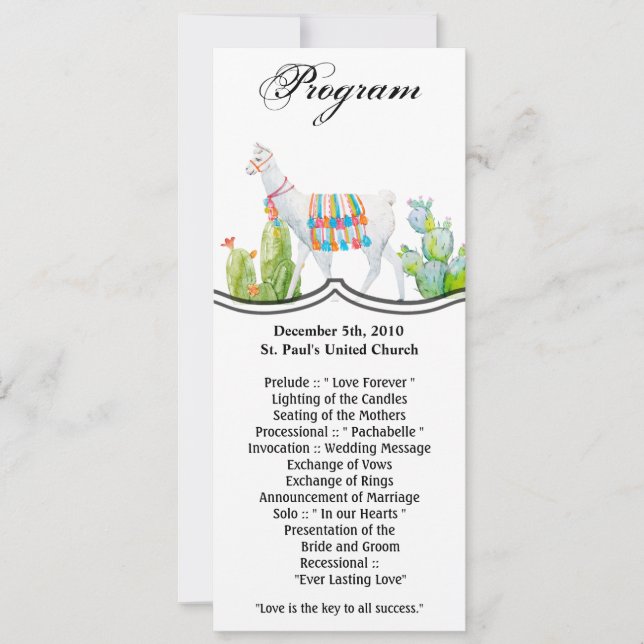 4x9.25 Cartes de programme Boho Llama Cactus bohèm (Devant)