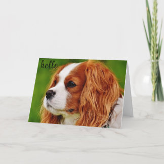 **50** HOW DOES IT FEEL BIRTHDAY HUMOR CARD