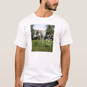 50 nuances de T-shirt de foin