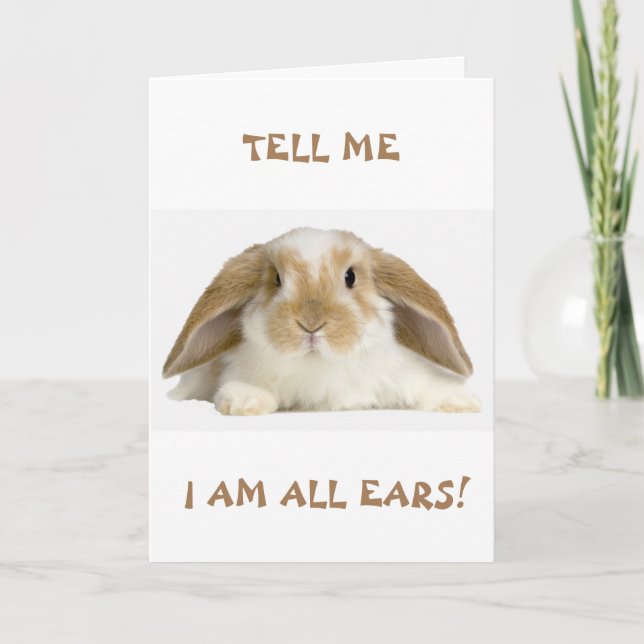 **50e** HUMOUR D'ANNIVERSAIRE DE LA Carte "BUNNY F (Devant)