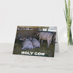 **50th BIRTHDAY?** DON'T WORRY WE WON'T TELL!!! Card