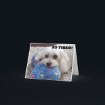 *50th BIRTHDAY* HA HA HA (FUNNY DOG HUMOR) Card<br><div class="desc">I LOVE THIS CARD AND HOPE YOU DO AS WELL. WHAT A CUTIE SHE IS!!!! THANKS FOR STOPPING BY 1 OF MY 8 STORES AND HAVE A GREAT DAY!</div>