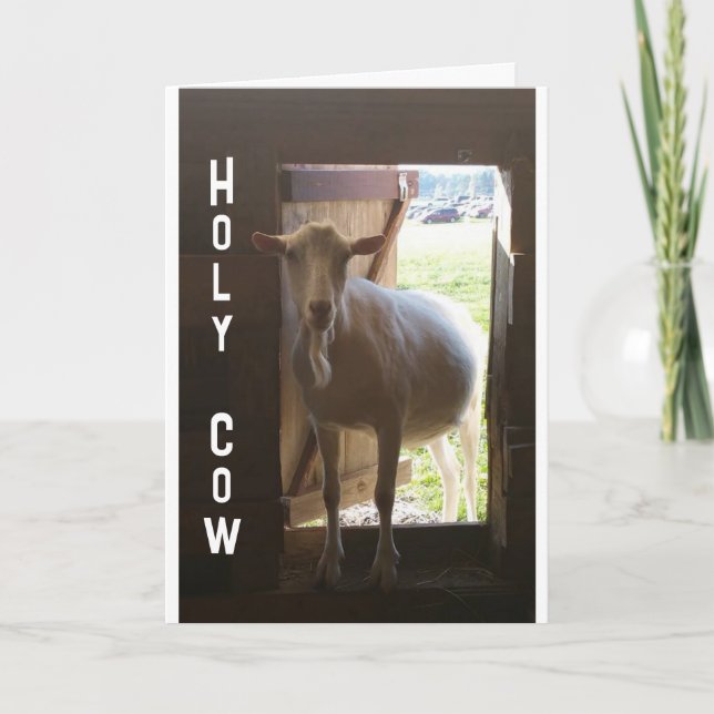 "50th BIRTHDAY??? JUST CAN'T BELIEVE IT Card (Front)