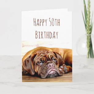 50th Birthday Sad Dog Stay Pawsitive Humour Card