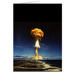 511287693_96eb556d37_b