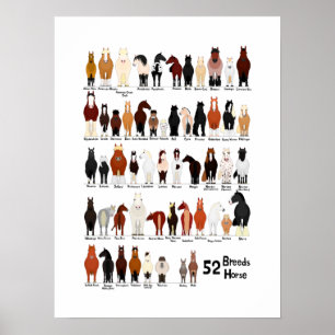 52 horse breeds chart