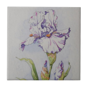 5340 Purple Stripe Iris Tile