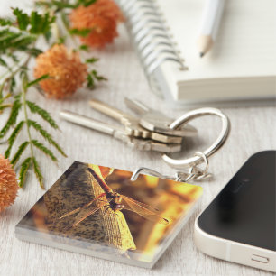 534424932Elegant Red Darter Dragonfly Insect Art Keychain