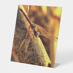 534424932Elegant Red Darter Dragonfly Insect Art Pedestal Sign