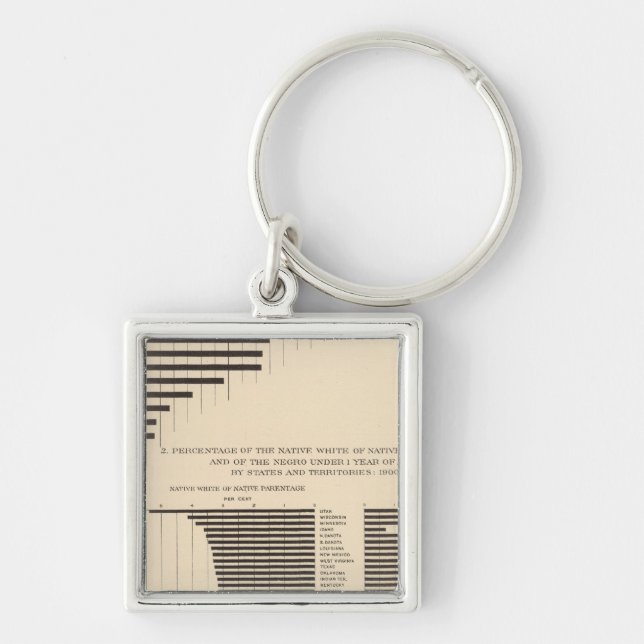 53 Negro population by states Native white Keychain (Front)