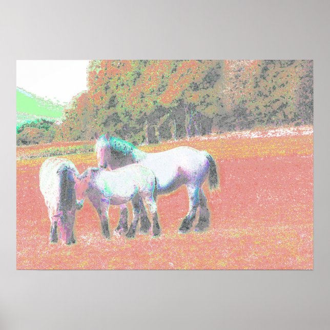 53 POSTER (Front)