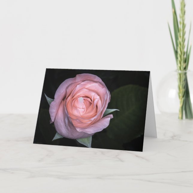 5434-Peach Rose Card (Front)
