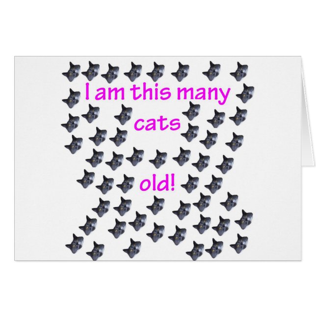 54 têtes de chat vieilles (Devant horizontal)