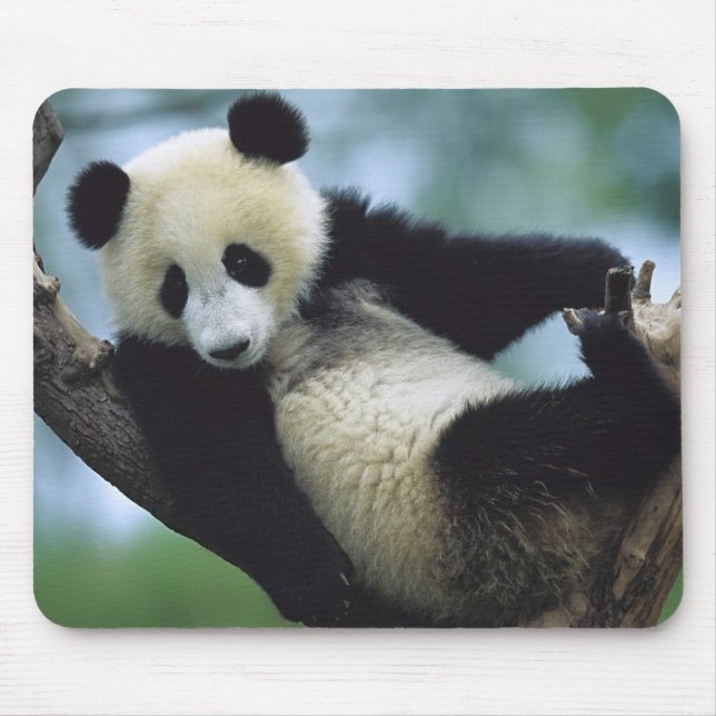 557711600wb1fp3 mouse pad (Front)