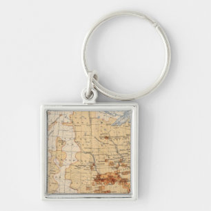 55 Density Negro population Keychain