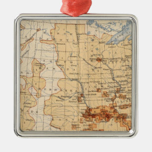 55 Density Negro population Metal Ornament