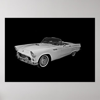 55 T Bird Poster