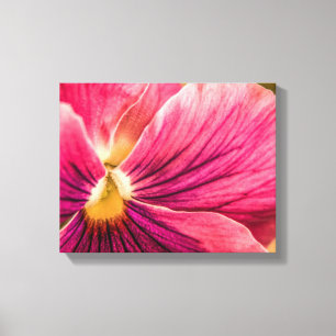 5880-Red Pansy Canvas Print