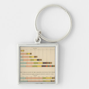 58 Foreign born 1850-1900 Keychain