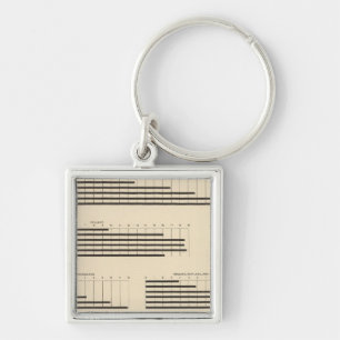 59 Leading nationality 1850-1900 Keychain