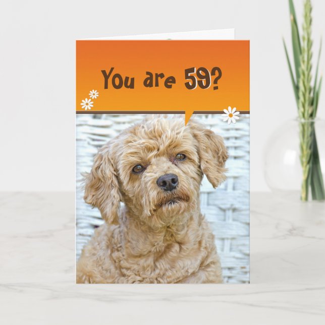 59th birthday brown poodle on wicker card (Front)