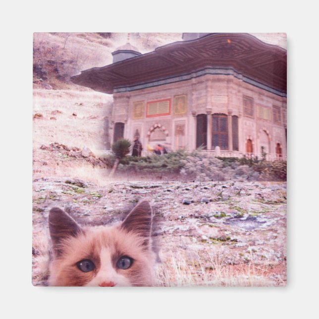 5.1 Cm Square Magnet Cat (Front)