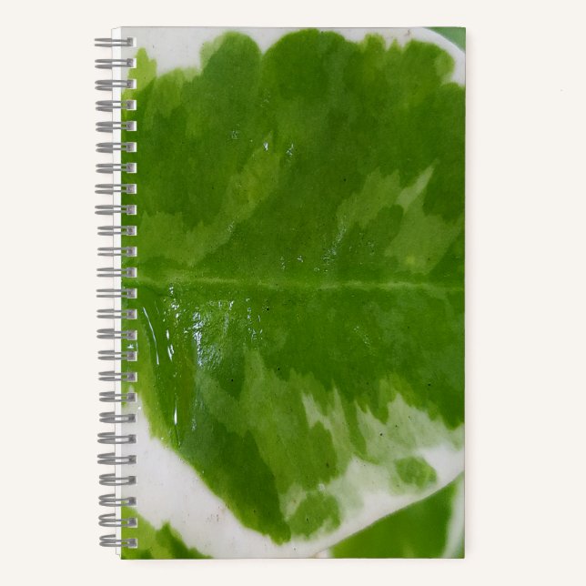 5.5" x 8.5" Spiral Notebook for Ideas and Notes (Front)