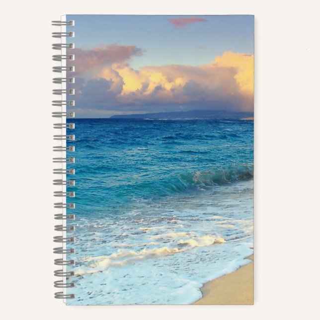 5.5" x 8.5" Spiral Noteboook Notebook (Front)
