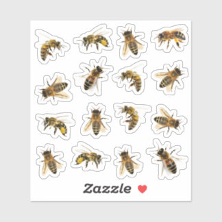 5 Abeilles à miel réalistes sur 16 Stickers Vinyl