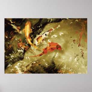 5 Cois in a Pound - Giant Koi Poster